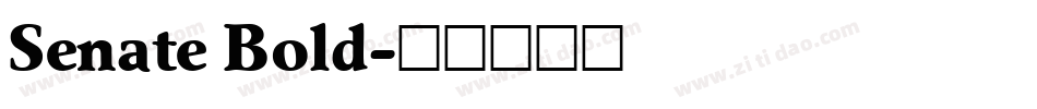 Senate Bold字体转换